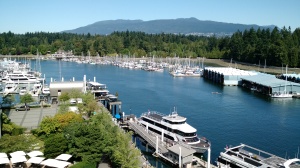 Our view while at the Westin Bayshore!
